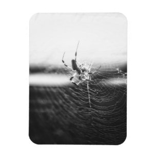 Cute Spider Tangled Weave Spider Lover Gift Magnet