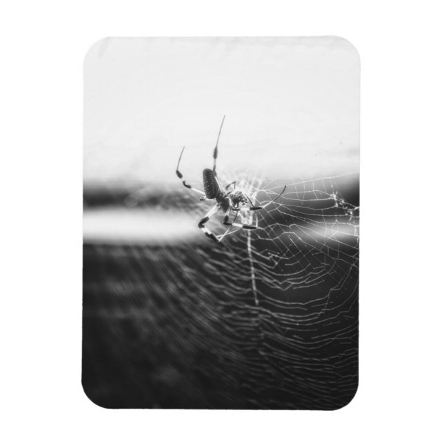 Cute Spider Tangled Weave | Spider Lover Gift Magnet (Vertical)