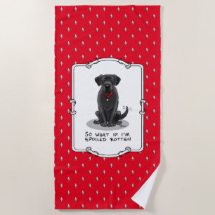 Cute Spoiled Rotten Black Labrador Retriever Dog Beach Towel