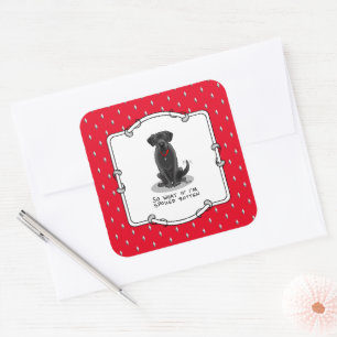 Cute Spoiled Rotten Black Labrador Retriever Dog Square Sticker