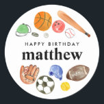 Cute Sports Balls Kid Boy Happy Birthday Favour Classic Round Sticker<br><div class="desc">Modern All Star Sports Balls Team Kids Birthday</div>