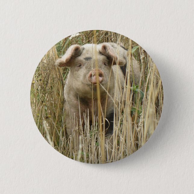 Cute Spotty Pig Button (Front)