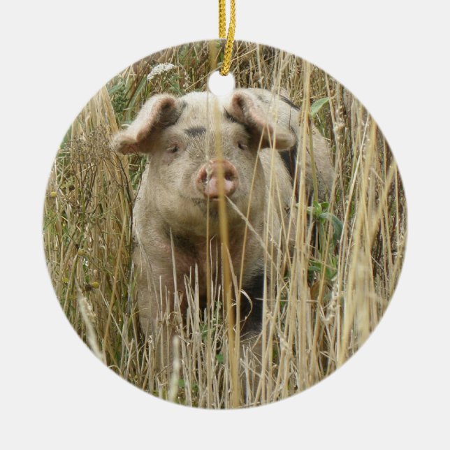 Cute Spotty Pig Custom Birthday Ceramic Tree Decoration (Front)