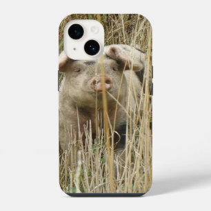 Cute Spotty Pig iPhone 14 Case
