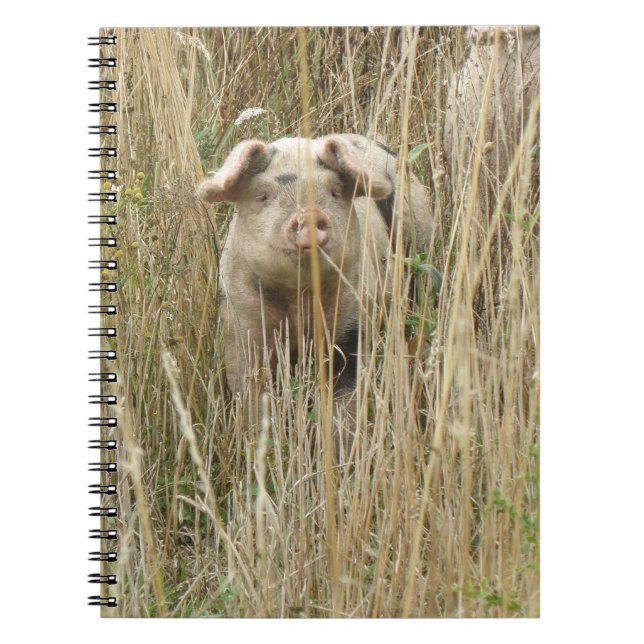 Cute Spotty Pig Notebook (Front)