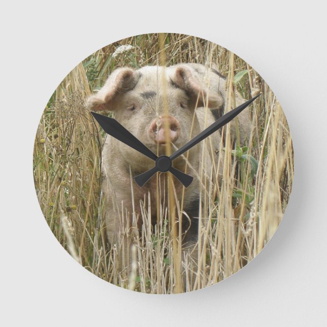 Cute Spotty Pig Wall Clock (Front)