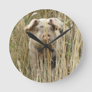 Cute Spotty Pig Wall Clock