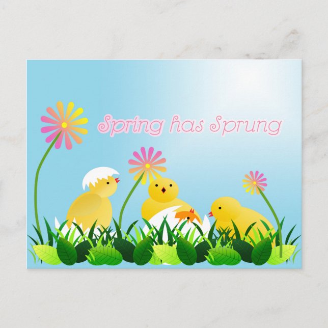 Cute Spring Chicks Postcard (Front)