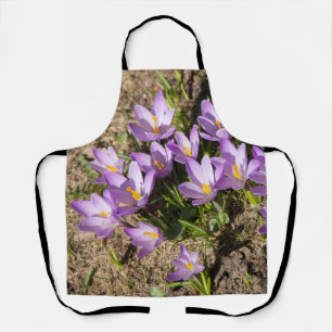Cute spring crocuses apron