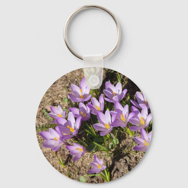 Cute spring crocuses key ring (Front)