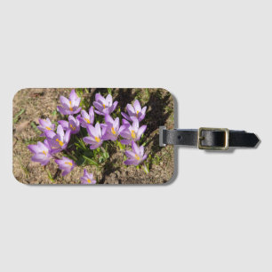 Cute spring crocuses luggage tag