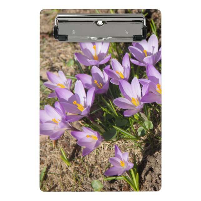 Cute spring crocuses mini clipboard (Front)