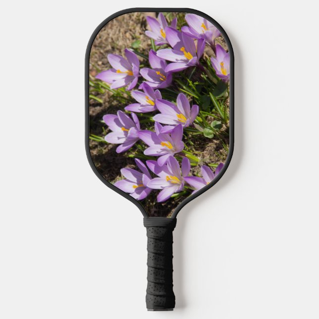 Cute spring crocuses pickleball paddle (Front)