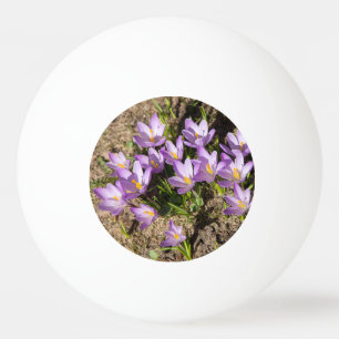 Cute spring crocuses ping pong ball