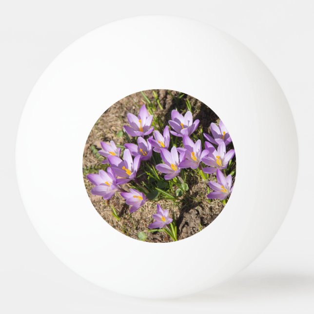Cute spring crocuses ping pong ball (Front)