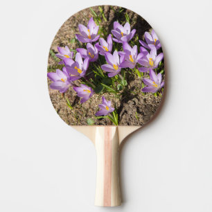 Cute spring crocuses ping pong paddle