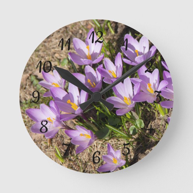 Cute spring crocuses round clock (Front)