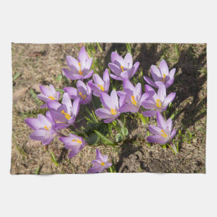 Cute spring crocuses tea towel