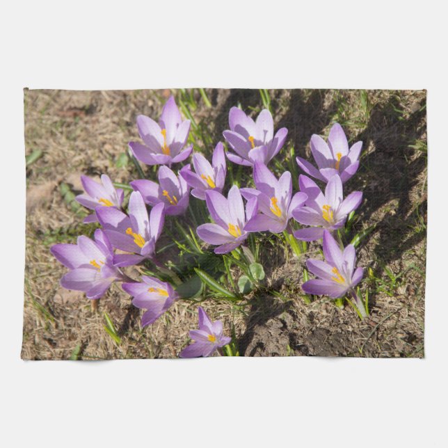 Cute spring crocuses tea towel (Horizontal)
