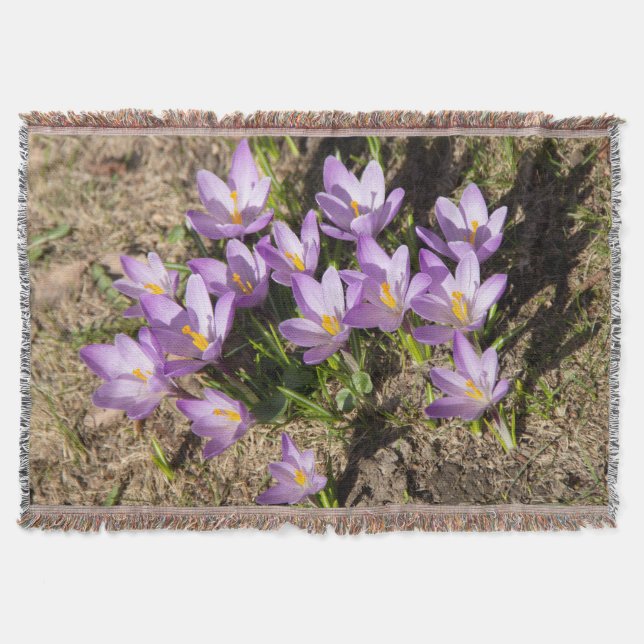 Cute spring crocuses throw blanket (Front)