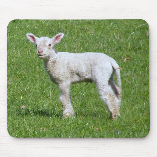 Cute Spring Lamb Mouse Pad (Front)