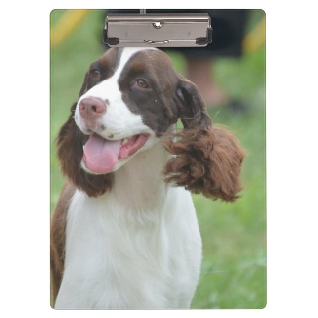Cute Springer Spaniel Clipboard (Front)