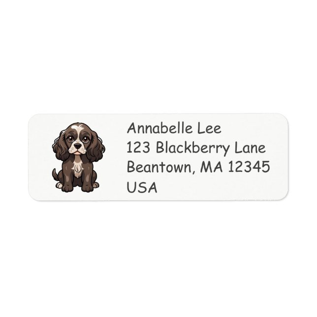 Cute Springer Spaniel Return Address Label (Front)