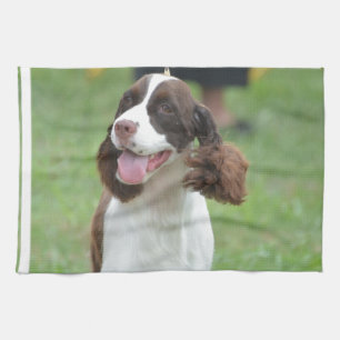 Cute Springer Spaniel Tea Towel
