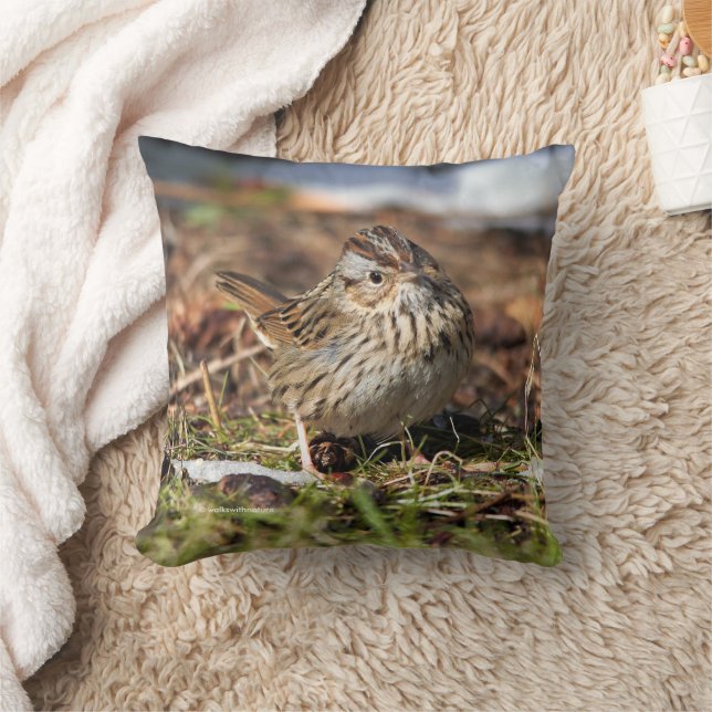 Cute Spunky Lincoln's Sparrow Songbird in Grass Cushion (Blanket)