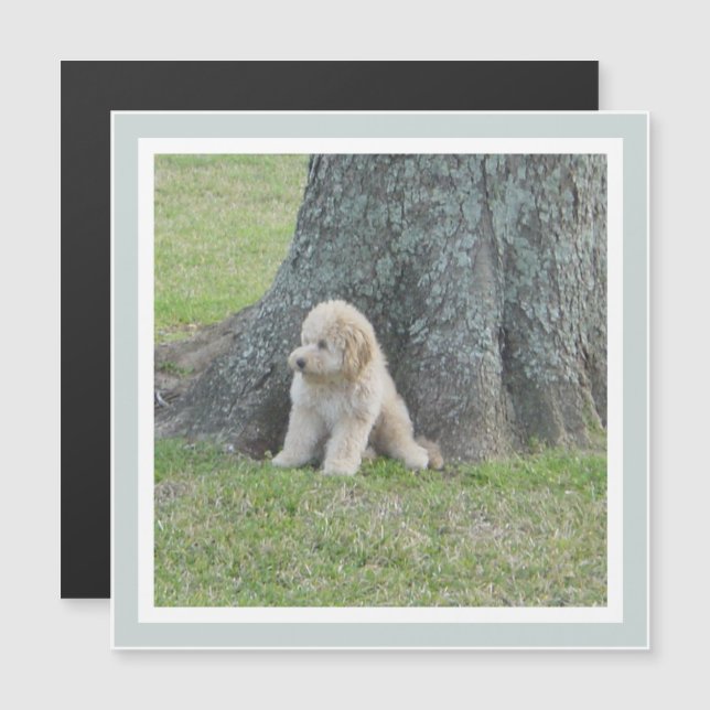 Cute Square Modern Template Green Keepsake Magnet  (Front/Back)