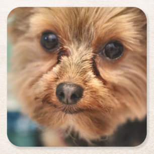 Cute square paper coaster