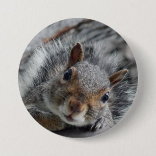 Cute Squirrel 7.5 Cm Round Badge