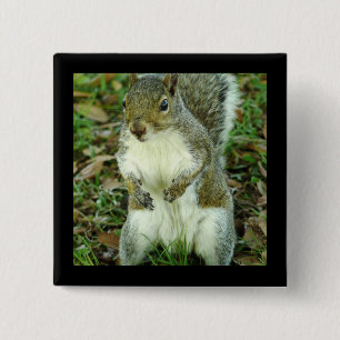 Cute Squirrel Button