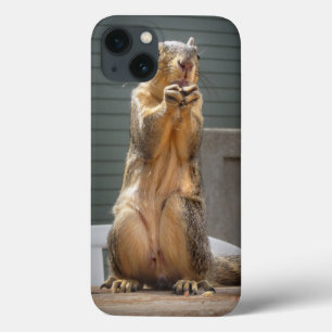 Cute Squirrel Closeup with Nut 3 iPhone 13 Case