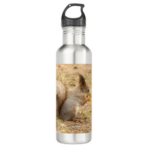 Cute squirrel eats a nut photo 710 ml water bottle