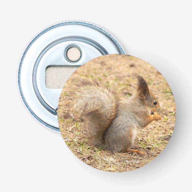 Cute squirrel eats a nut photo bottle opener (Front)