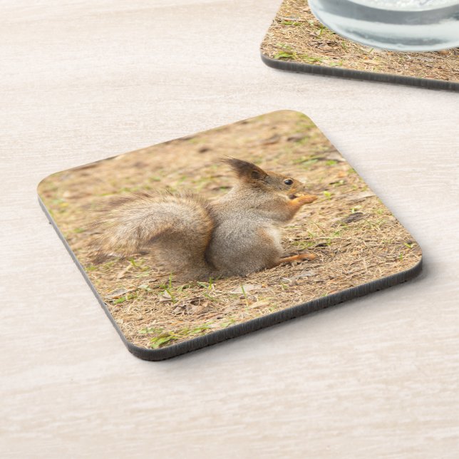 Cute squirrel eats a nut photo coaster (Left Side)