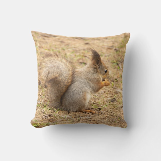 Cute squirrel eats a nut photo cushion (Front)