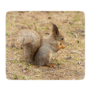 Cute squirrel eats a nut photo cutting board