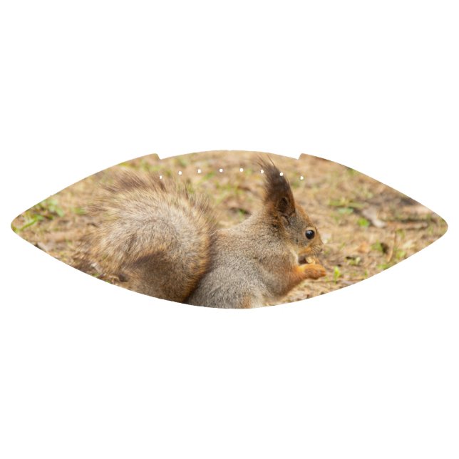 Cute squirrel eats a nut photo football (Panel)