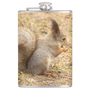 Cute squirrel eats a nut photo hip flask