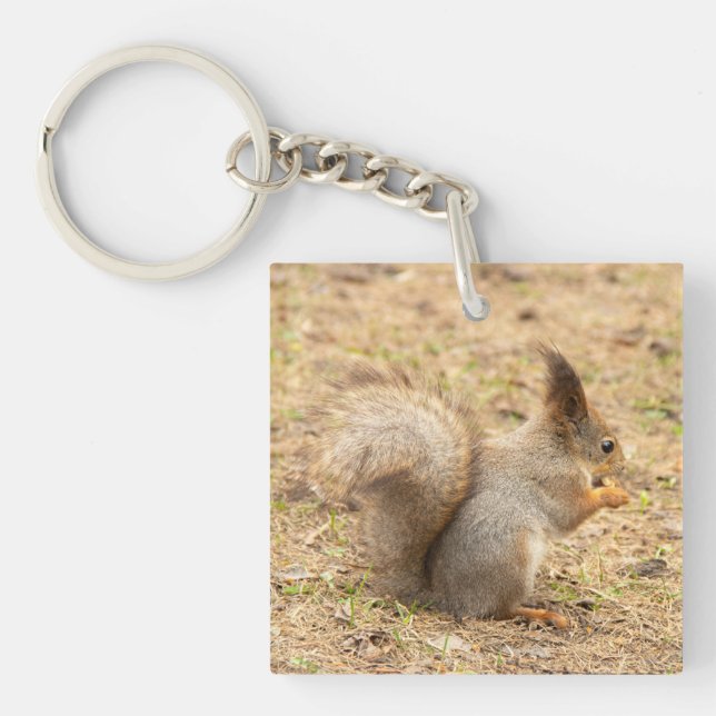 Cute squirrel eats a nut photo key ring (Front)