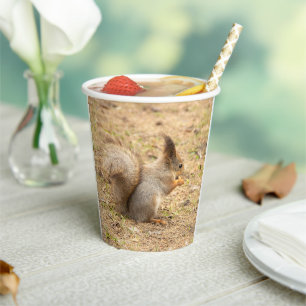 Cute squirrel eats a nut photo paper cups