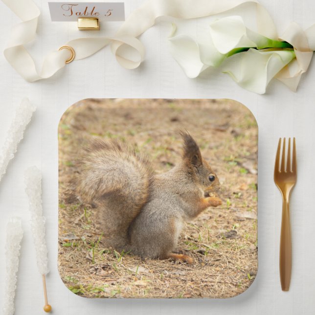 Cute squirrel eats a nut photo paper plate (Wedding)