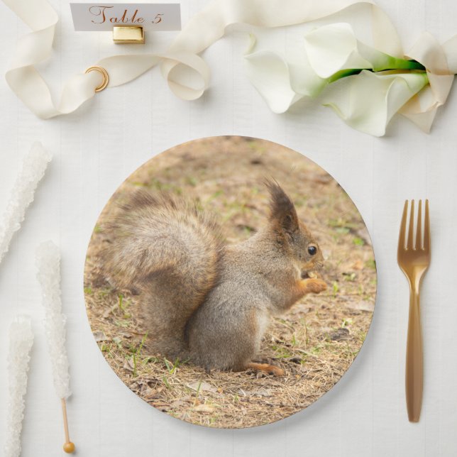 Cute squirrel eats a nut photo paper plate (Wedding)