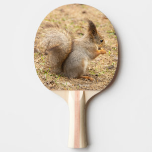 Cute squirrel eats a nut photo ping pong paddle