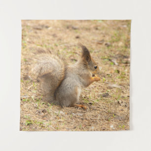 Cute squirrel eats a nut photo tapestry
