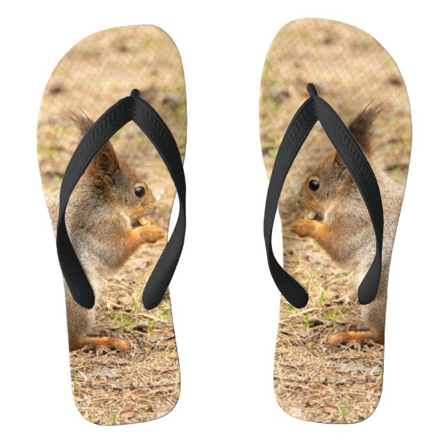 Cute squirrel eats a nut photo thongs (Footbed)