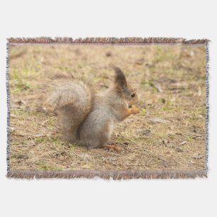 Cute squirrel eats a nut photo throw blanket
