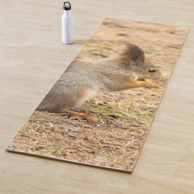 Cute squirrel eats a nut photo yoga mat (In Situ)